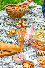 Picnic in the grass with various finger foods,  a female hand brings a bsket with bread, vertical