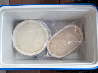 Sourdough loaves during cold fermentation