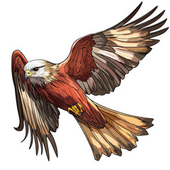 Red Kite transparent icon | Icon | Anime