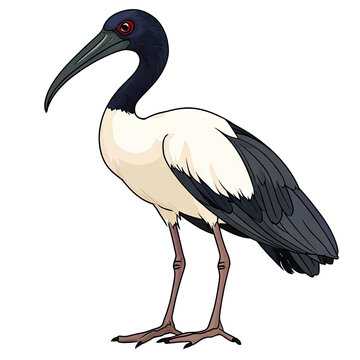 Sacred Ibis transparent icon | Icon | Anime
