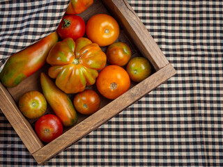 Tomates diferentes variedades sobre fondos de madera y trapo rustico con posibilidad de incluir texto
