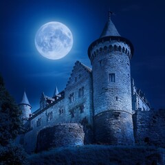 Fototapeta premium 달빛이 내리쬐는 고대의 성 푸른 달빛이 성의 돌벽을 부드럽게 비추고, 창문 틈새로 들어오는 빛이 그림자처럼 성 내부를 감싼다. 성 안은 고요하지만, 은은한 바람이 오래된 기억을 되살리는 듯하다.