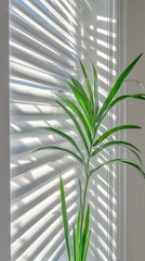 Sunlight filters through the window blinds, casting soft reflections while a small green plant brings life to the workspace, enhancing the tranquil atmosphere during the golden hour.