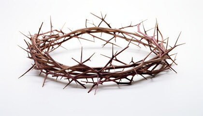 Fototapeta premium A crown of thorns
