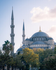 Blue Mosque