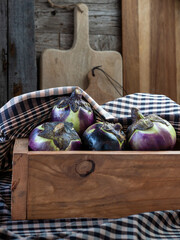 berenjena redonda o berenjena de florencia. Melanzana di firenze sobre fondo r&uacute;stico