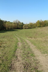 A dirt path in a field
