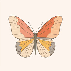 vector Butterfly 