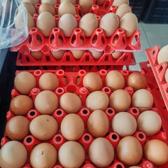 Fresh egg on plastic tray on the display of supermarket for sale