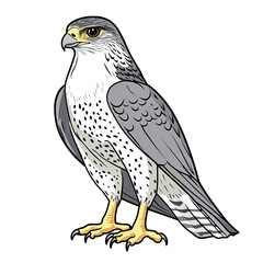Fototapeta premium Gyrfalcon transparent icon | Icon | Anime