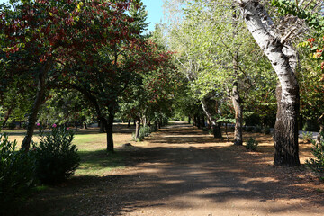 classic and ancient ruins of olympia in greece
