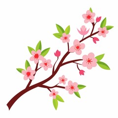 cherry blossom branch
