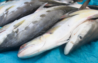 Fresh and large fish sold in traditional Indonesian markets.