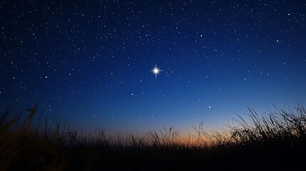 Naklejka premium Shining Star of Hope: Symbol of Solitude and Resilience in the Night Sky
