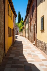 Fototapeta premium A charming green door adorned with cheerful daisies in full bloom during spring sunshine