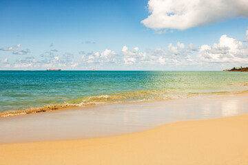 Fototapeta premium Caribbean beach - Antigua Island