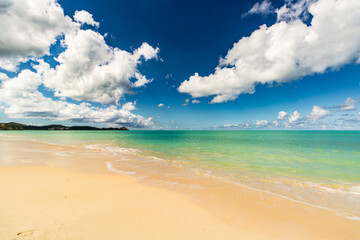 Obraz premium Caribbean beach - Antigua Island