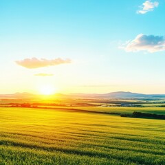Obraz premium Capturing nature's beauty through a smartphone in a serene green landscape at sunset