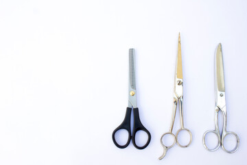 To the right, we see professional hairdressing scissors with a shiny metallic finish. The intricate finger rest indicates precision cutting. Perfect for hairstylists and barbers.