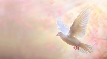 A winged dove with copy space, symbolizing the Holy Spirit in the New Testament, set against a soft, ethereal background