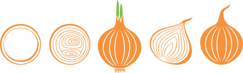 Onion logo. Isolated onion on white background