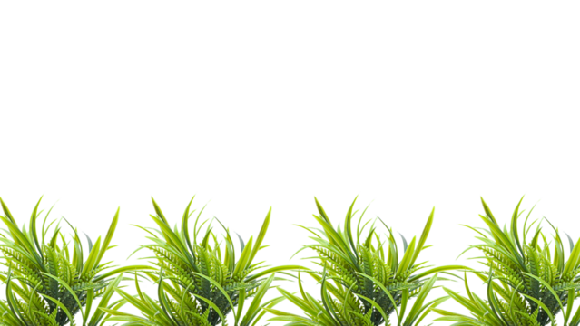 Green Grass Border, Frame For Text or Editing. Fresh natural greenery leaves, branches, forest fern, herbs botanical border, frame, text space. Poster banner, wedding invite, greeting card. PNG File.