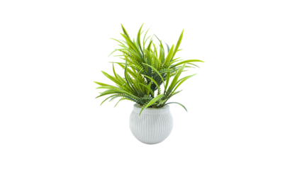 green artificial plant in a white, ribbed ceramic pot. The plant has long, spiky leaves interspersed with fern-like fronds, creating a lush and full appearance. Beautiful artificial plants. PNG File.