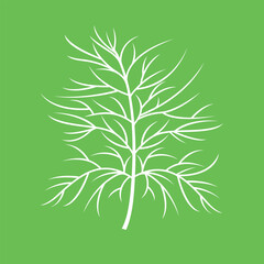 Dill silhouette. Isolated dill on green background