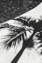 A minimal shot next to pool captures hard shadows of palm leaves, creating striking contrast against waters surface. interplay of light and shadow evokes serene summer vibe