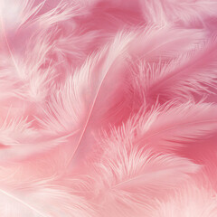 Obraz premium Beautiful pink coral colored feathers creating background texture