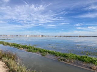 Albufera, Valencia.