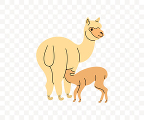 Alpaca with baby, baby alpaca sucking milk, graphic design. Llama, animal, pet and mammal, vector design and illustration