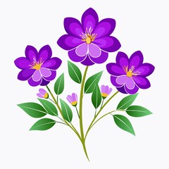 Obraz premium flowers isolated on white background