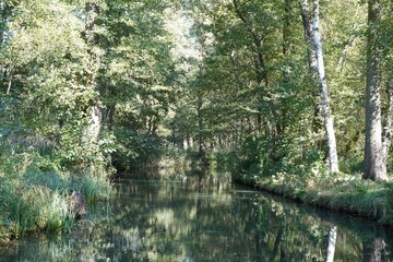 Sonnige Spreewaldlandschaft bei Lübbenau