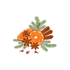 Christmas composition. Conifer branches with orange vector illustration. Pine cone, spruce, fir tree branches, cinnamon and rowan. Stock winter nature clipart isolated on white.