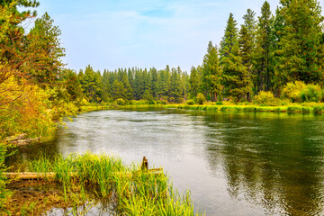 Obraz premium 2024-09-09 DESCHUTES RIVER RUNNING THROUGH BEND OREGON WITH A TREE LINED SHORE AND LUSH GRASSES WITH A REFLECTION IN THE WATER IN OREGON-