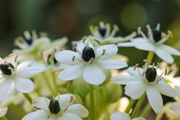 Parc des 5 sens - Yvoire