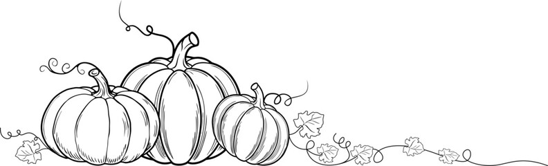 pumpkin lineart vector illustration,halloween pumpkin,element vector illustration