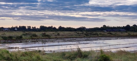 Levé de soleil sur les Marais Salants de Lasné , St Armel, Golfe du Morbihan, Bretagne, France