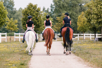Rear view of three female riders riding horses side by side near white wood fencing, returning to the horse farm