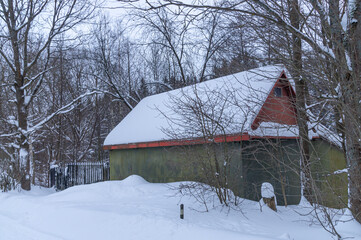 Snow-covered plants and trees on the territory of a country house behind a fence in frosty weather. A house in the village in winter. Christmas frosts. A house in the countryside in winter.