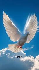 Fototapeta premium White Dove Flying in the Blue Sky, with a Sign in Its Paws with the Word 