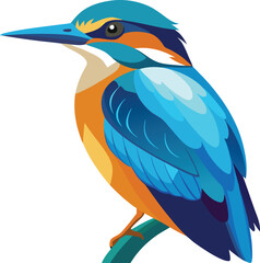 An animal of colorful Kingfisher vector art, kingfisher bird icon graphics illustration without background design, kingfisher seting and looking for hunt.