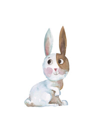 funny bunny