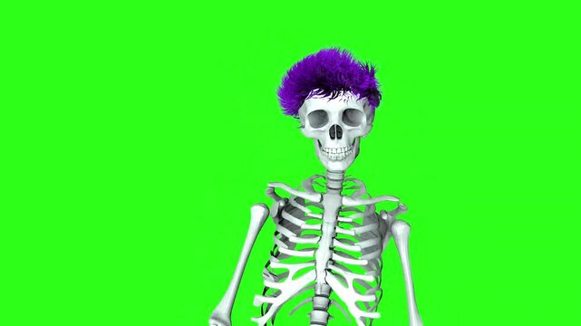 A punk skeleton with a bright purple hair walks like a zombie towards the camera on a green screen. Looped 3D animation. Halloween and horror concept. Funny skeleton.