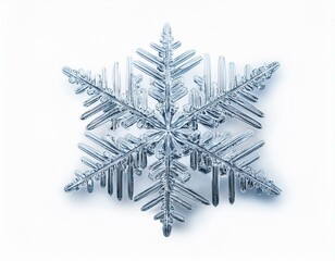 reigestellter Eiskristall &ndash; Perfekt f&uuml;r Winter- und Weihnachtsdekorationen