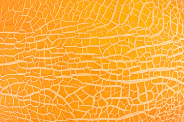 Melon rind, peel or skin with cracks yellow background texture. Top view. Close up.