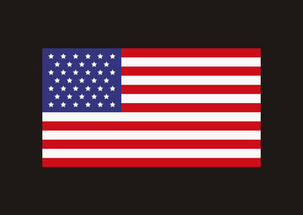 American waving and straight shape flags set. Vector graphic design isolated illustration