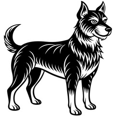 black and white dog