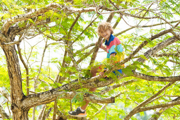 Fototapeta premium Boy climbing tree in park. Kids explore nature.